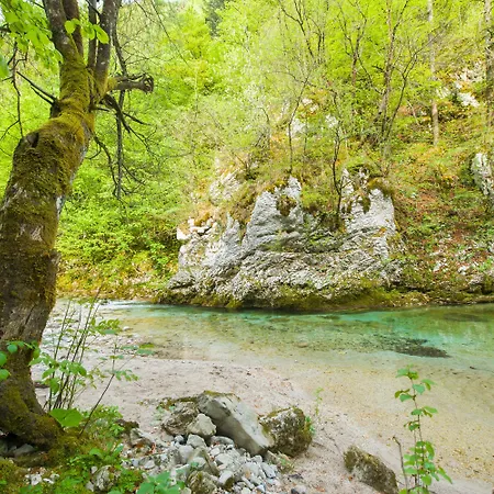 Hotell Kendov Dvorec Spodnja Idrija