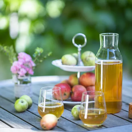 Hotel Kendov Dvorec 5*